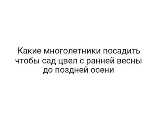 Какие многолетники посадить чтобы сад цвел с ранней весны до поздней осени