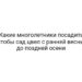 Какие многолетники посадить чтобы сад цвел с ранней весны до поздней осени