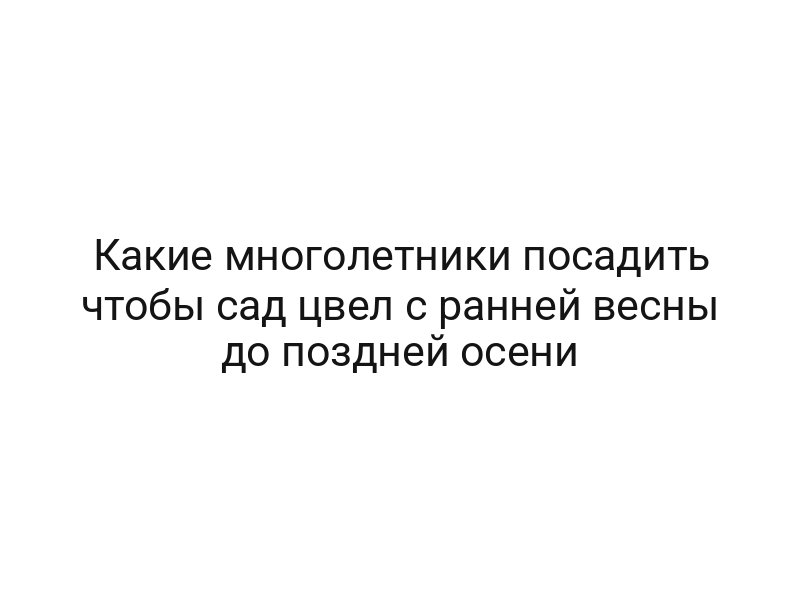 Какие многолетники посадить чтобы сад цвел с ранней весны до поздней осени