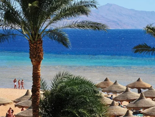 Где дешевле отдохнуть на море в конце ноября – начале декабря. Ценовой рейтинг АТОР и «1001 Тур» | Ассоциация Туроператоров Где дешевле отдохнуть на море в конце ноября – начале декабря. Ценовой рейтинг АТОР и «1001 Тур» | Ассоциация Туроператоров