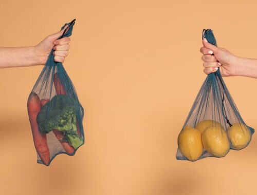 Как отказаться от пластиковых пакетов без дискомфорта Как отказаться от пластиковых пакетов без дискомфорта
